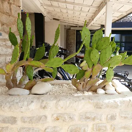 Casa de Férias Holiday 23 Bis Rue De Chassiron Saint-Denis-dʼOléron